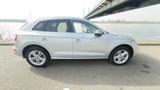 Audi Q5 2.0 TFSI S tronic quattro - - Audi Q5 in Duisburg