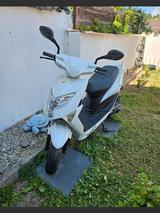 Beeline Tapo 45 km/h - ROLLER 45 KM H