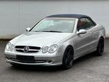 Mercedes-Benz CLK 500 Cabrio Aut.*Leder*Xenon*Navi*BOSE*Alu 19 - gebrauchte Mercedes-Benz CLK 500 aus dem Jahr 2003