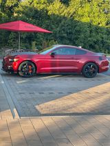 Ford Mustang EcoBoost 2,3-Liter - Ford Mustang: Limousine