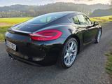 Porsche Cayman S - BOSE Soundsystem - TOP Zustand - Porsche Cayman aus 2013