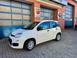 Fiat Panda Hybrid - gebrauchte Fiat Panda aus dem Jahr 2022