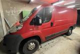 Fiat Ducato 2,2 l Transporter - Fiat: Transporter