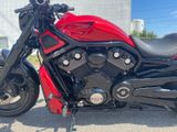 Harley-Davidson Night Rod Special - VRSCDXA - HARLEY-DAVIDSON VRSC NIGHT ROD