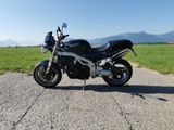 Triumph Speed Triple - Offers matching your search criteria