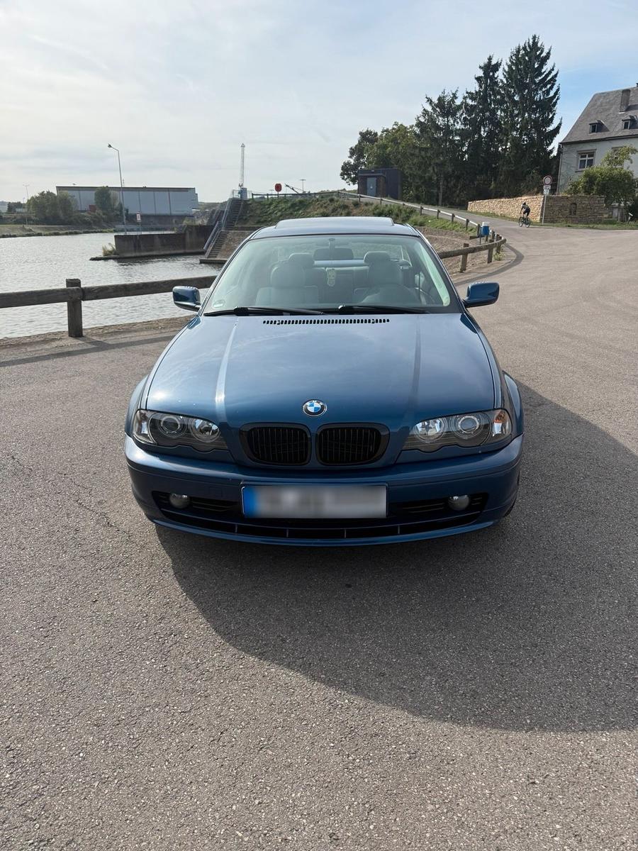 BMW 320