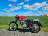 Mz ETS 250 Trophy Sport  - MZ ETS