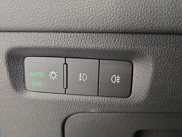 Octavia Combi RS 2.0 TSI DSG*AHK*19Zoll*