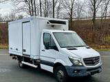 Mercedes-Benz Sprinter 516 CDI Tür.rechts Tüv-Neu 1-Hand LBW - Ladebordwand