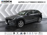 Mazda CX-30 2.0 SKYACTIV-G M Hyb.150 Excl-Line LED HUD - Mazda CX-30 Gebrauchtwagen in Berlin