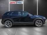 Mazda CX-30 2.0 M-Hybrid Basis 2WD Bose 360° Spurhalte - Mazda: 0