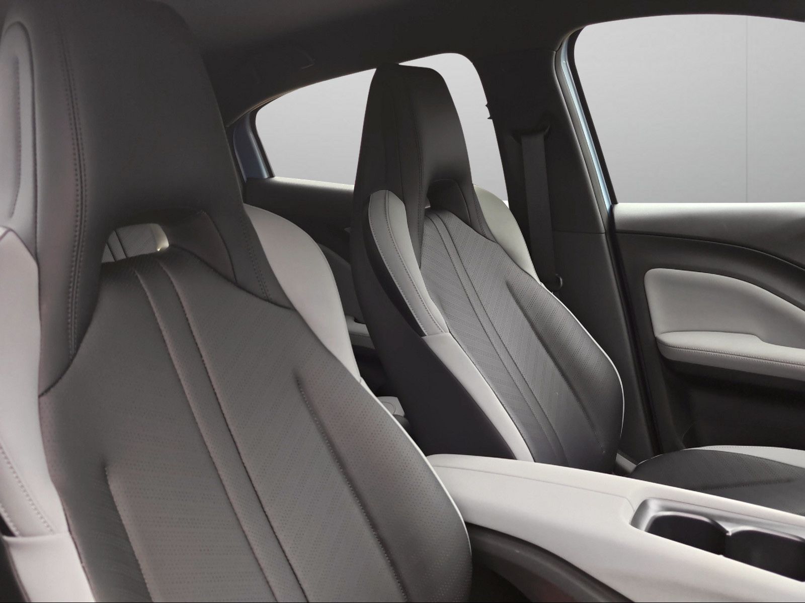 BYD DOLPHIN SURF