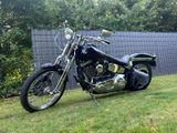 Harley-Davidson FXSTS EVO Springer Softail - HARLEY-DAVIDSON 1996 SOFTAIL