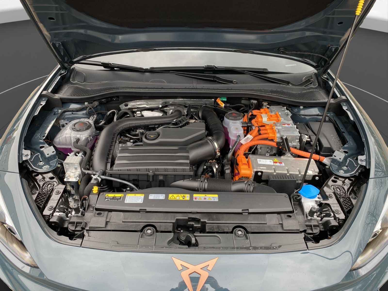 Cupra Leon - Bild 23