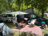 Mercedes-Benz Vito Marco Polo Activity - Offers