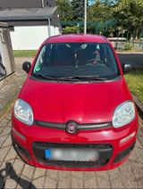 Fiat Panda 1.2(mit neue TÜV )Angebot bis S... - Fiat Panda in Leverkusen