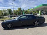 Dodge Challenger - Dodge Gebrauchtwagen von 2013