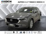 Mazda CX-30 2.5 SKYACTIV-G M Hy. Takumi Navi ACC LED - Mazda CX-30: Takumi