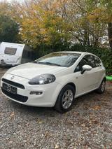Fiat punto - Fiat Punto Gebrauchtwagen in Köln