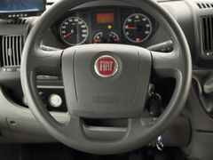 Miller Winnepeg | Händlergeschäft | Viel Ausstattung