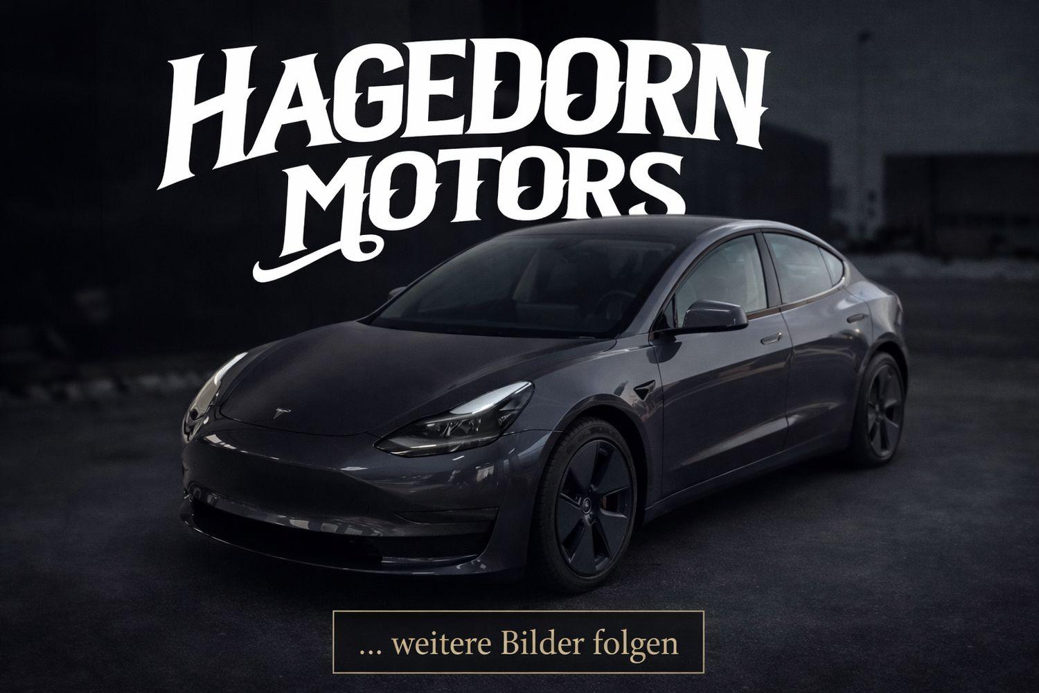 Tesla Model 3 Long Range Dual AWD LED LEDER 1.HAND TOP
