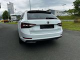 Skoda Superb Sportline - Skoda Superb: Weiß