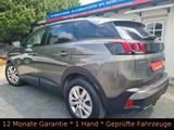 Peugeot 3008 AUT/130 EAT8 Active/AHK/Navi/Sport - Peugeot 3008: Automatik