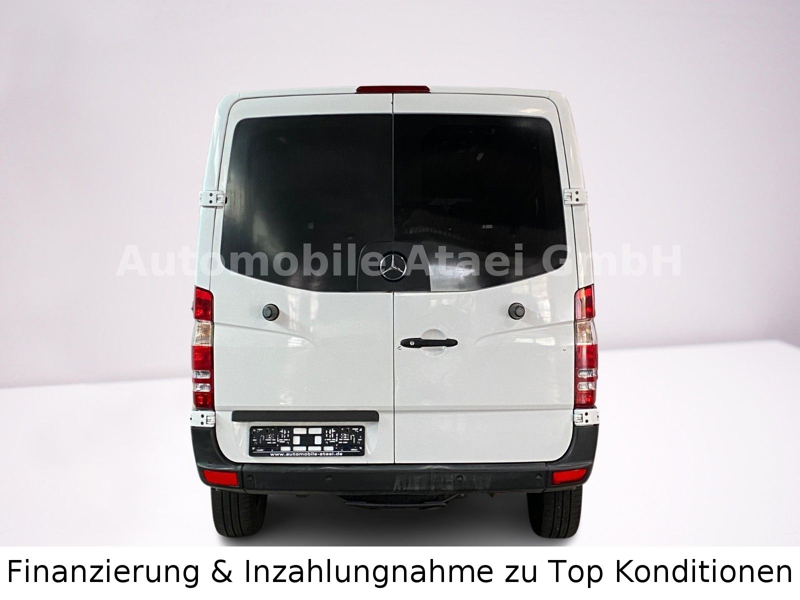 Fahrzeugabbildung Mercedes-Benz Sprinter 315 Behörde/ Camper 7-Sitze (2489)