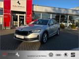 Skoda Octavia 2.0 TDI Selection CarPlay AHK*Kamera*Nav - Skoda aus 2024