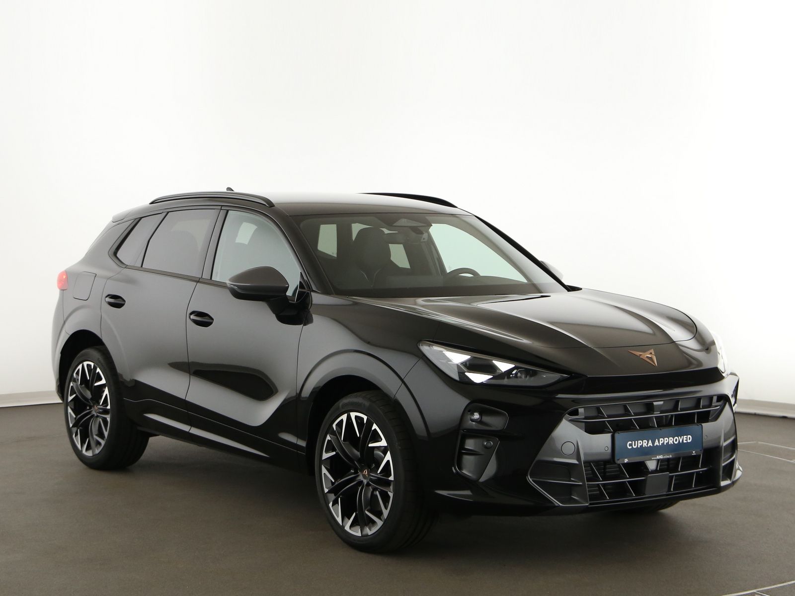 Cupra Terramar - Bild 9