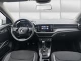 Skoda Fabia 1.0 TSI LED Einparkhilfe - Skoda Fabia Gebrauchtwagen in Mannheim