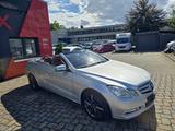 Mercedes-Benz E 250 Cabrio 204 PS HU neu Leder Bi Xenon - Mercedes-Benz E 250 mit Benzin-Antrieb