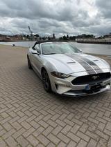 Ford Mustang Cabrio Eco Boost 2019 - Ford Mustang in Oldenburg