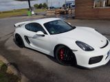 Porsche Cayman GT4 GT4 - Porsche Cayman aus 2016