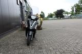 Yamaha D`elight 125 / Top CASE /  Garantie - YAMAHA D ELIGHT