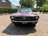 Ford Mustang Convertible 1965 6 zylinder Burgundy - Ford Mustang Oldtimer: Roadster