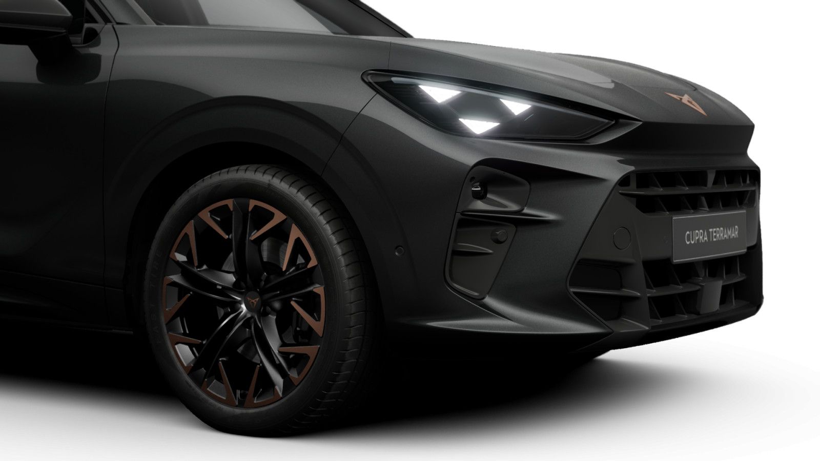 Cupra Terramar - Bild 3