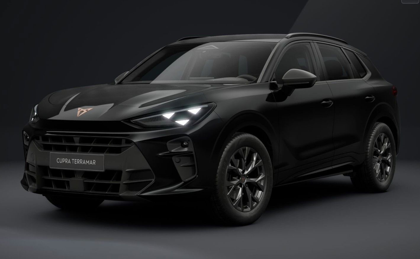 Cupra Terramar - Bild 9