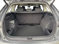 Skoda Kodiaq - Vorschau Bild 7