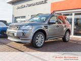 Land Rover Freelander SD4 SE Dynamic *Xenon*Kamera*Pano - Land Rover: Sd4