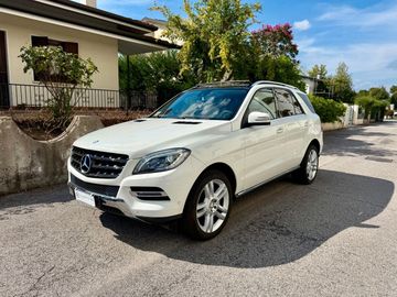Mercedes ML 250 - 1