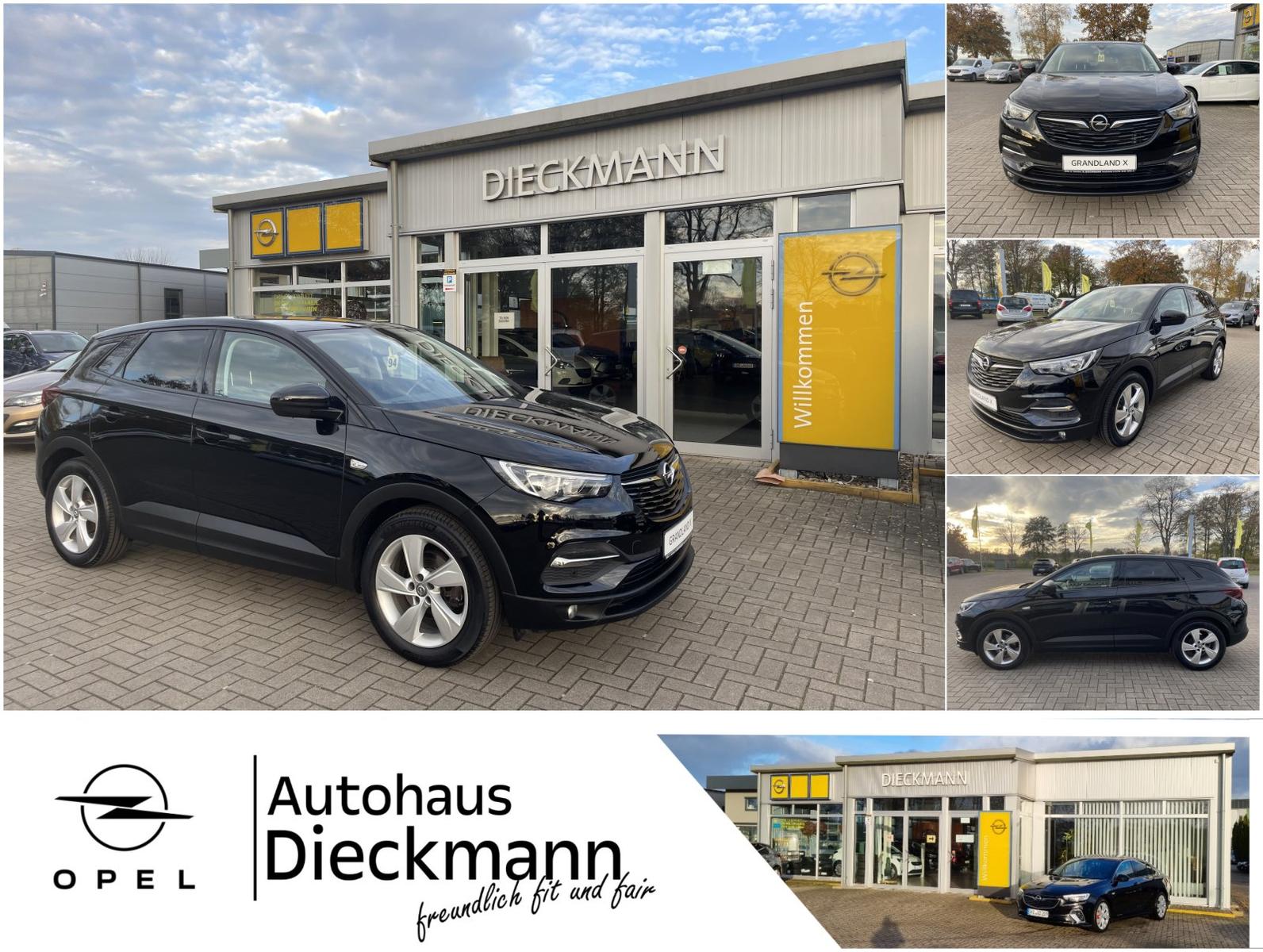 Opel Grandland X Edition AHK Navi PDC SHZ NSW LM