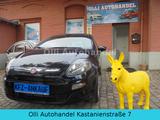 Fiat Punto*1.2*Benzin*KLIMA*TÜV*07/2026*NUR*43.000KM - Fiat Punto: Blau