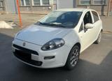 Fiat Punto 1.2 8V 5 porte Lounge-km81000- - Fiat Punto: Lounge