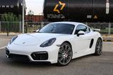 Porsche Cayman GTS GTS - Porsche Cayman aus 2015