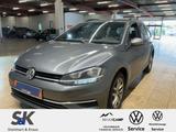 Volkswagen Golf Variant 4Motion | DSG | Indiumgrau Metallic - mit Diesel-Antrieb: Grau, Metallic