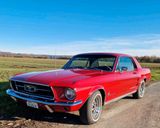 Ford Wunderschöner Ford Mustang - BJ 1967 - suc... - Ford aus 1967