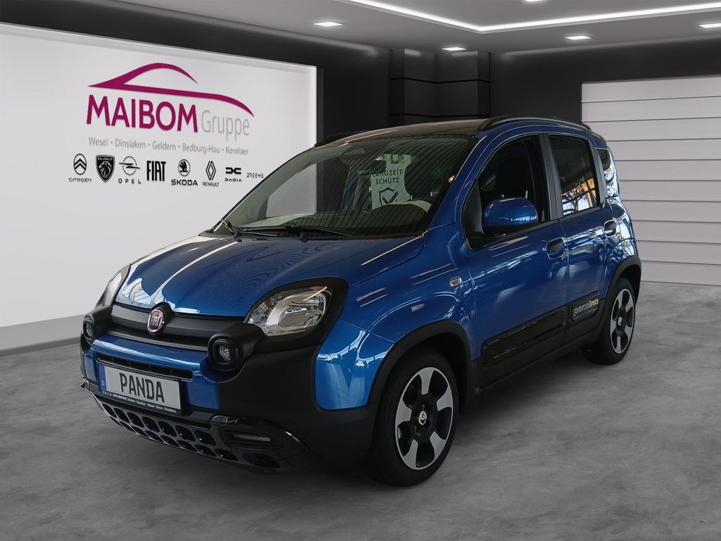 Image of Fiat Pandina