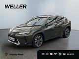 Lexus UX 250h Style Edition *Bi-LED*ACC*CAM*SHZ*CarPla - Lexus aus 2021