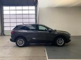 Ford Kuga Titanium 2.5l PHEV *elektr. Heckklappe* LM - mit Hybrid-Antrieb: Grau, Elektr Heckklappe